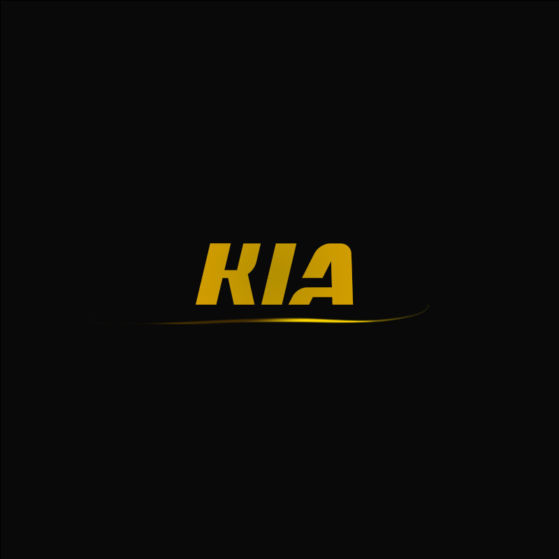 Kits de carrocería y piezas de repuesto Kia